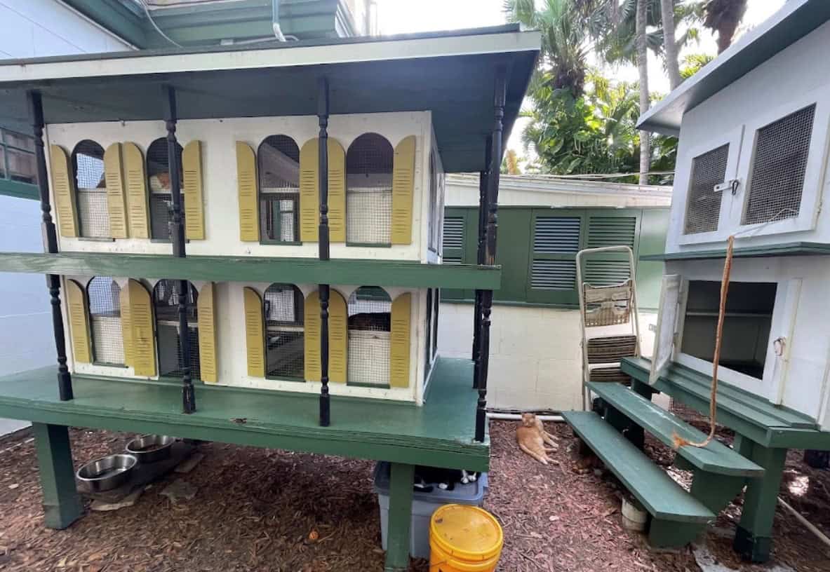 Ernest Hemingway Home and Museum