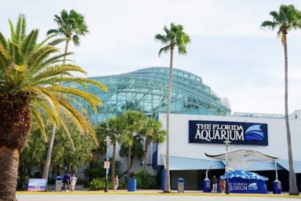 Florida Aquarium in Tampa