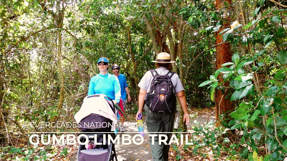 Gumbo Limbo Trail