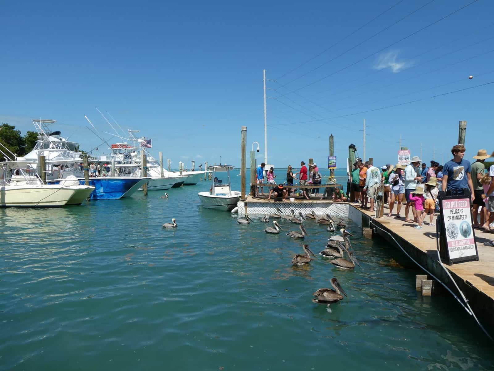 Robbie's of Islamorada