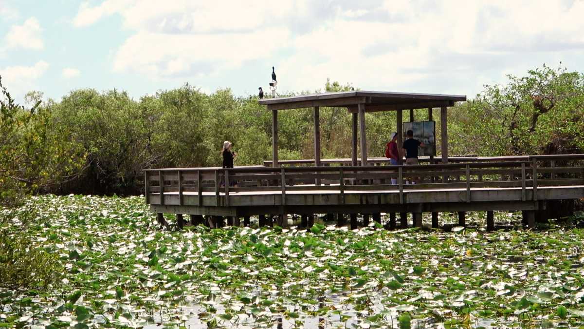 Auf dem Anhinga Trail