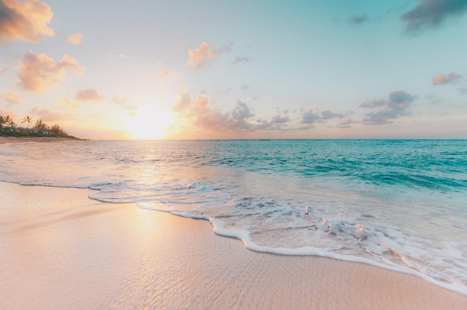 Sandspur Beach